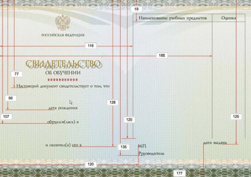 Свидетельство об обучении фото 3